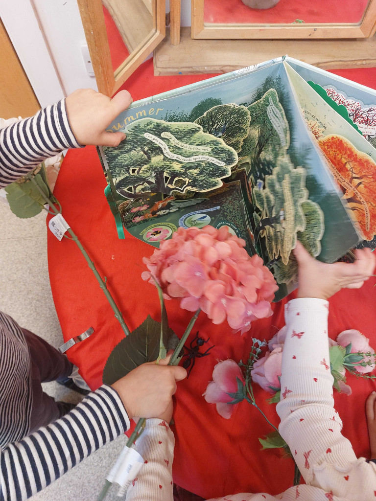 Flowers in Nursery